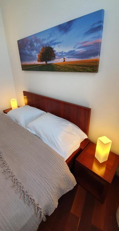 Sweet Dreams Suites Cismigiu Gardens บูคาเรสต์ ภายนอก รูปภาพ